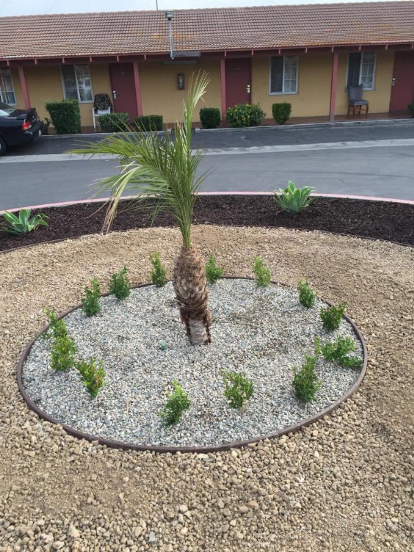 Hacienda Motel image 13